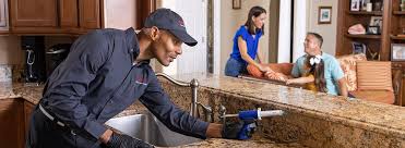 Best Commercial Pest Control  in Homer, LA