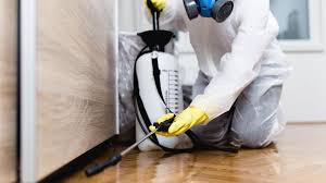 Best Residential Pest Control  in Homer, LA